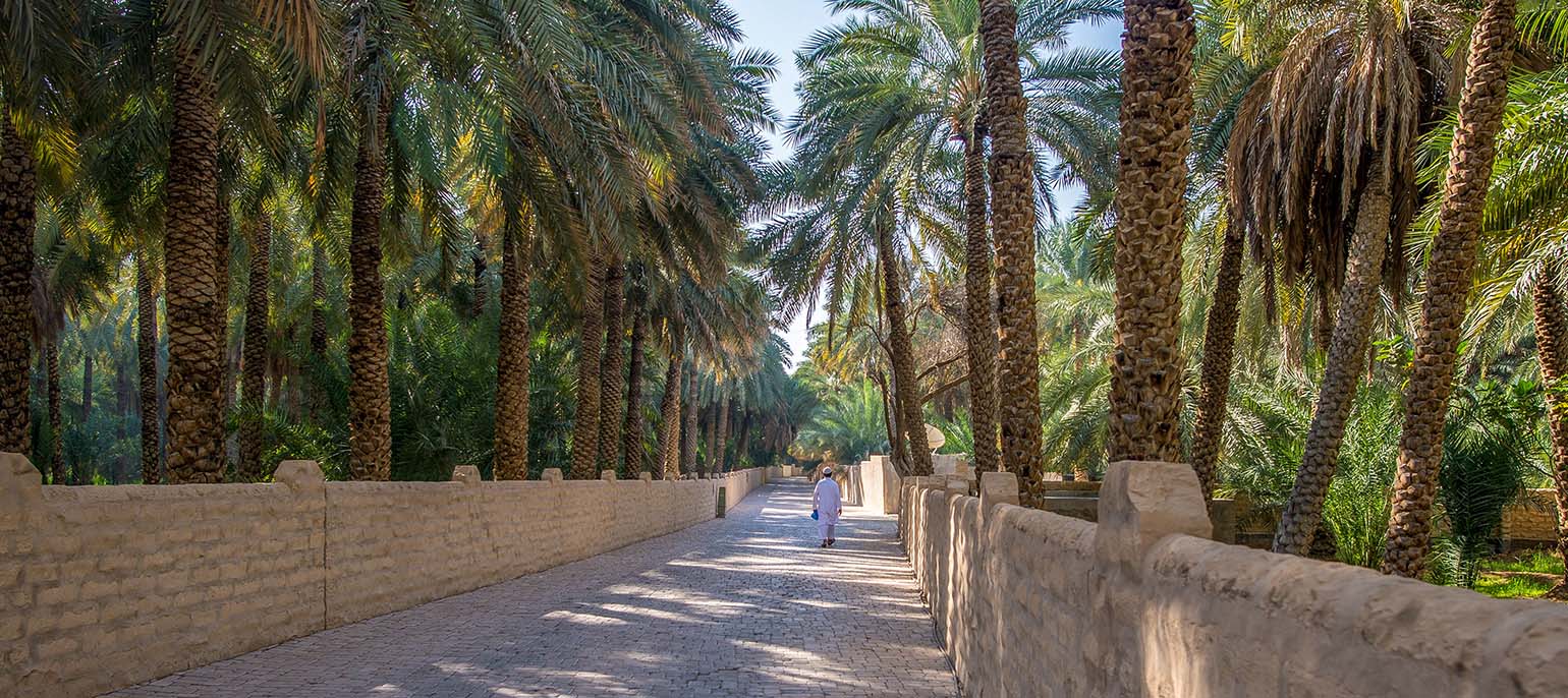 Al Ain Oasis