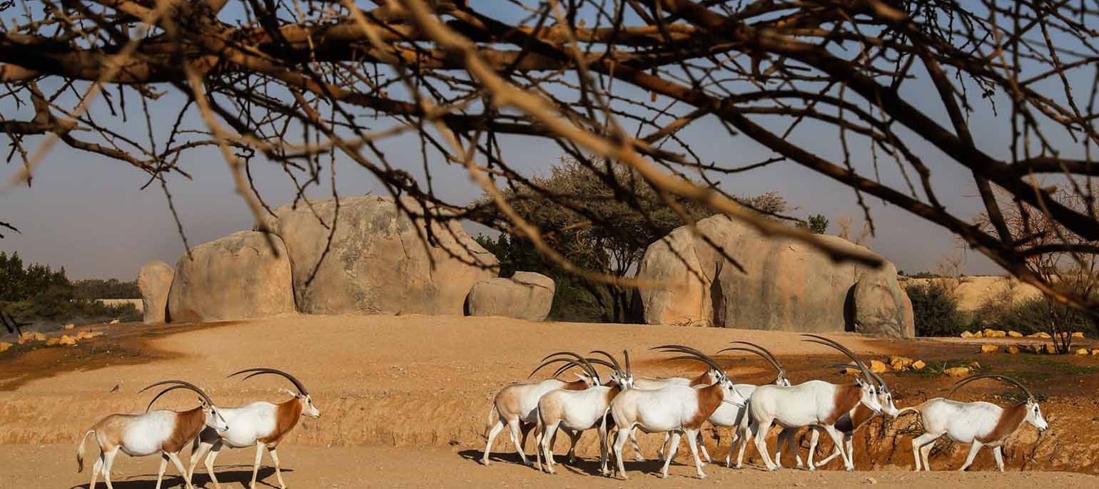 Al Ain Zoo